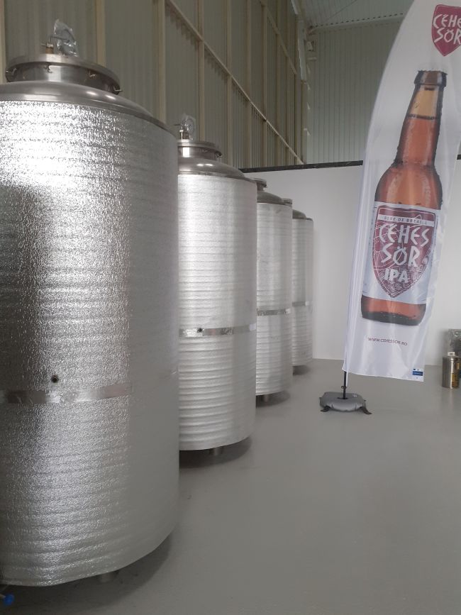 Informare proiect StartUp Now, luna noiembrie